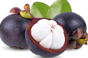 Mangosteen