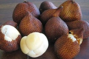 Salak