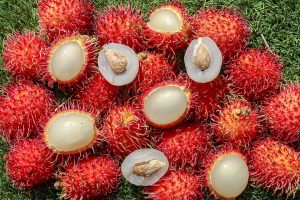 Rambutan